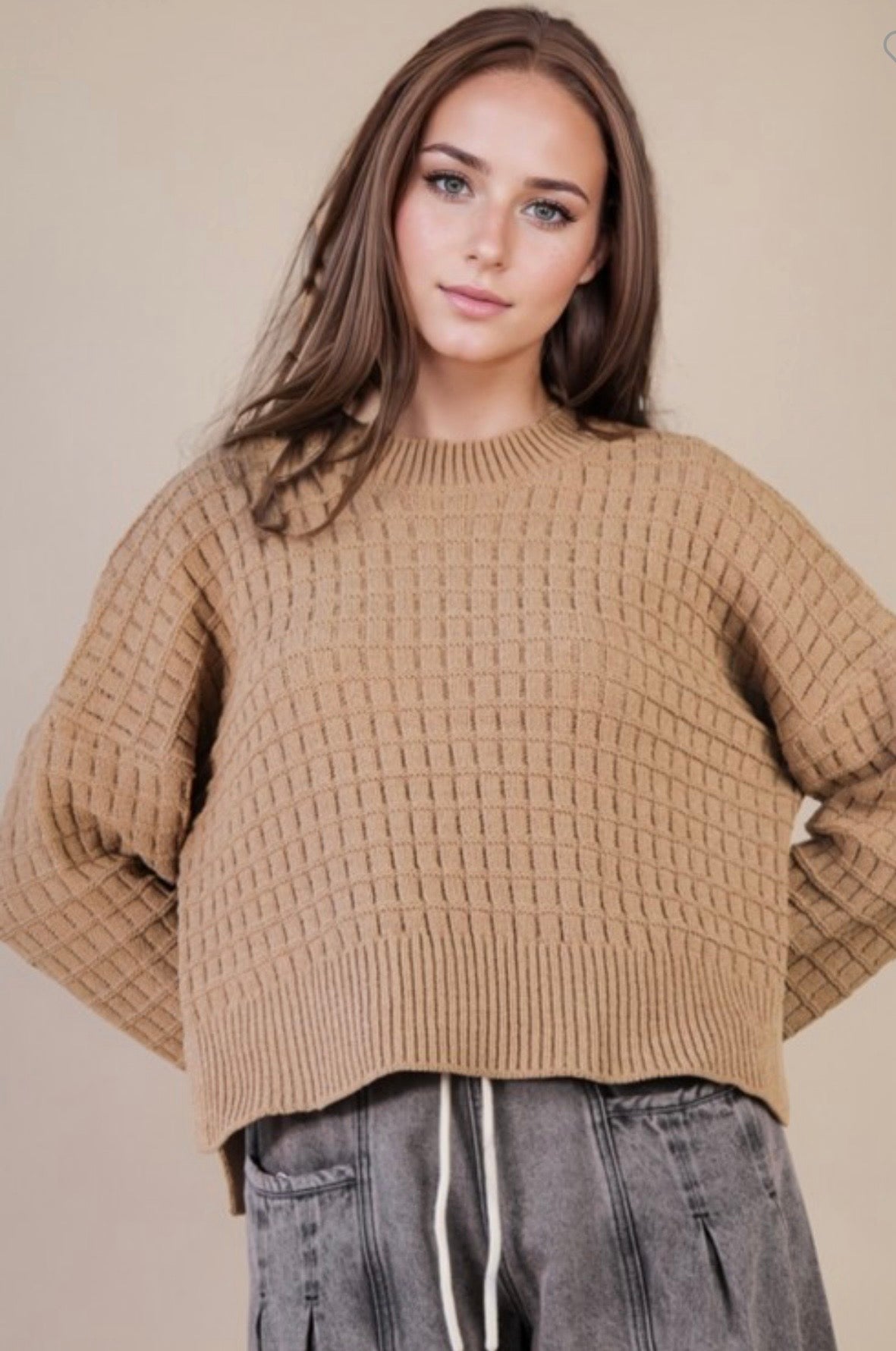 The ChestNut Cozy Knit Sweater