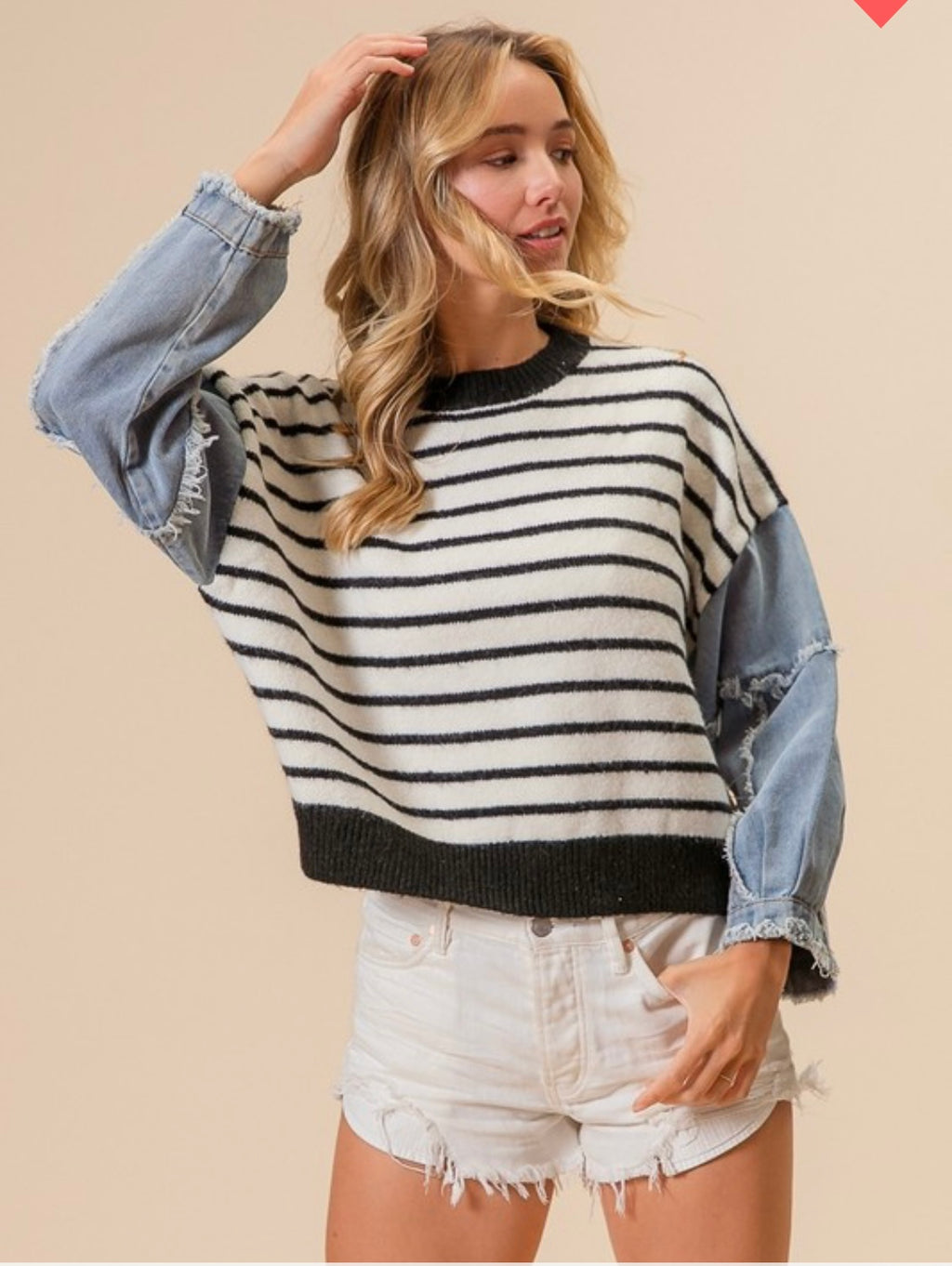 Willow Denim Sleeve Striped Sweater